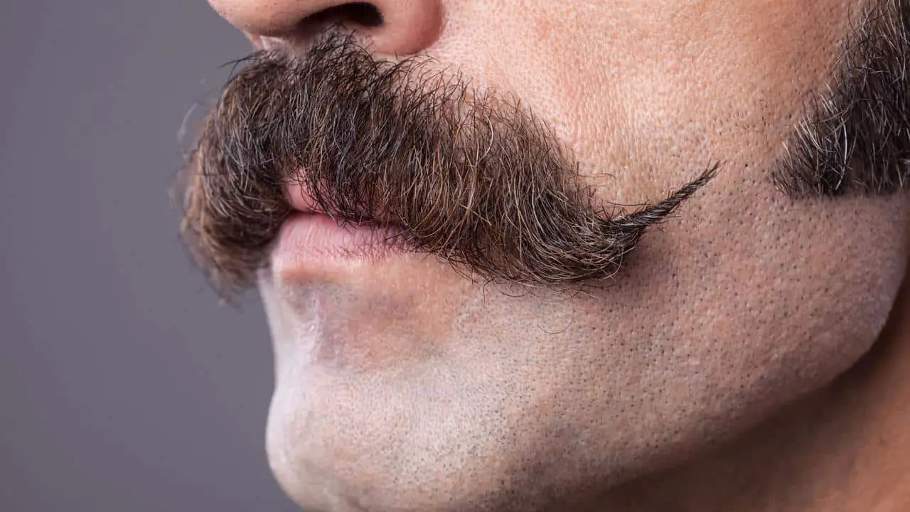 How to Grow a Long Blond Mustache - wide 4