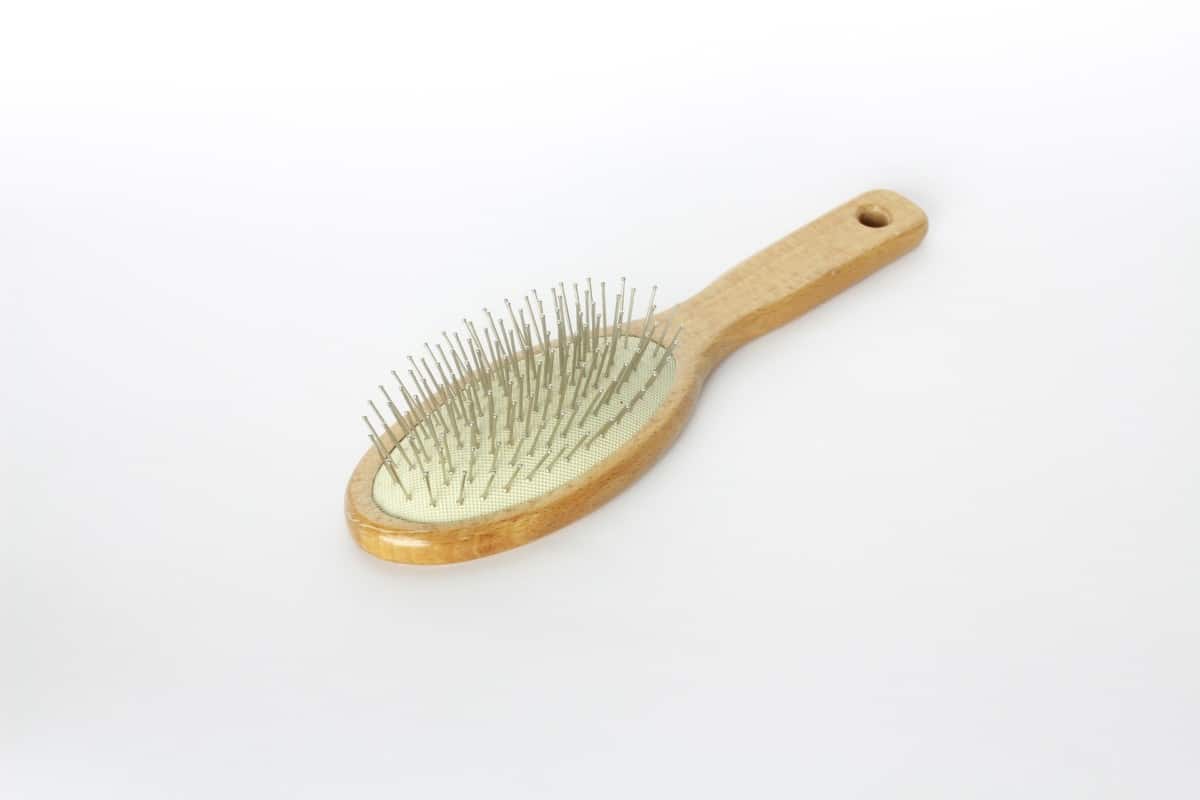 best hair brush to prevent breakage for thin hair