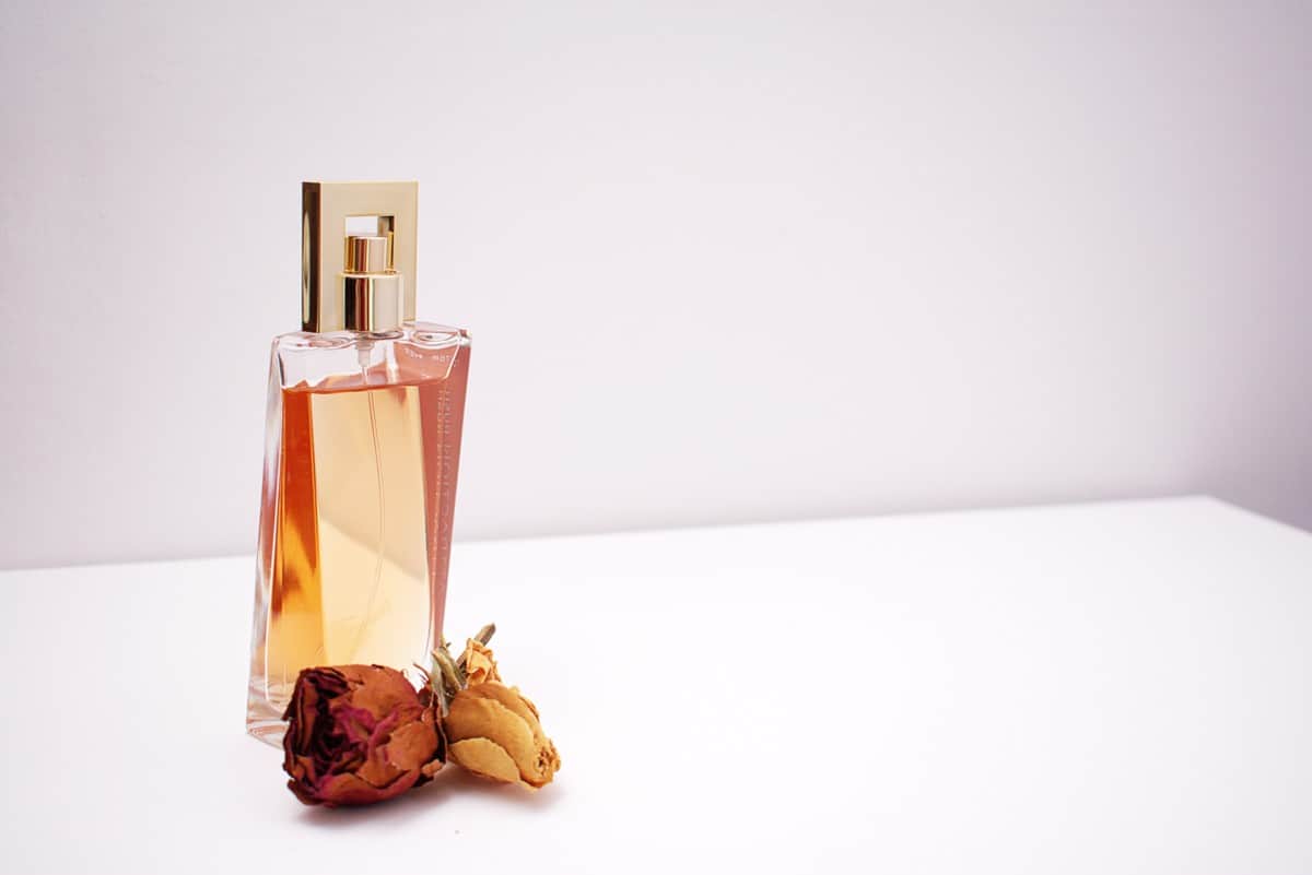 Best Cheap Long Lasting Perfume