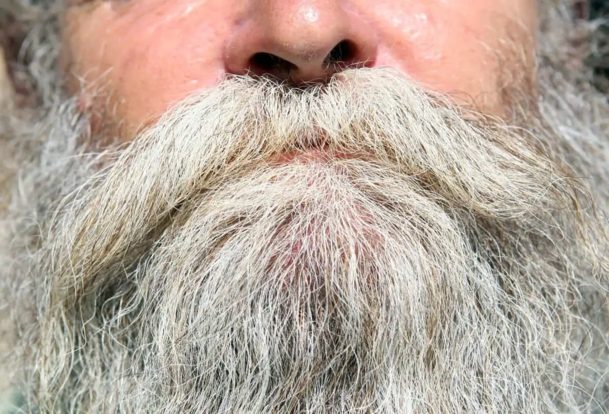 How to Tame a Frizzy Beard
