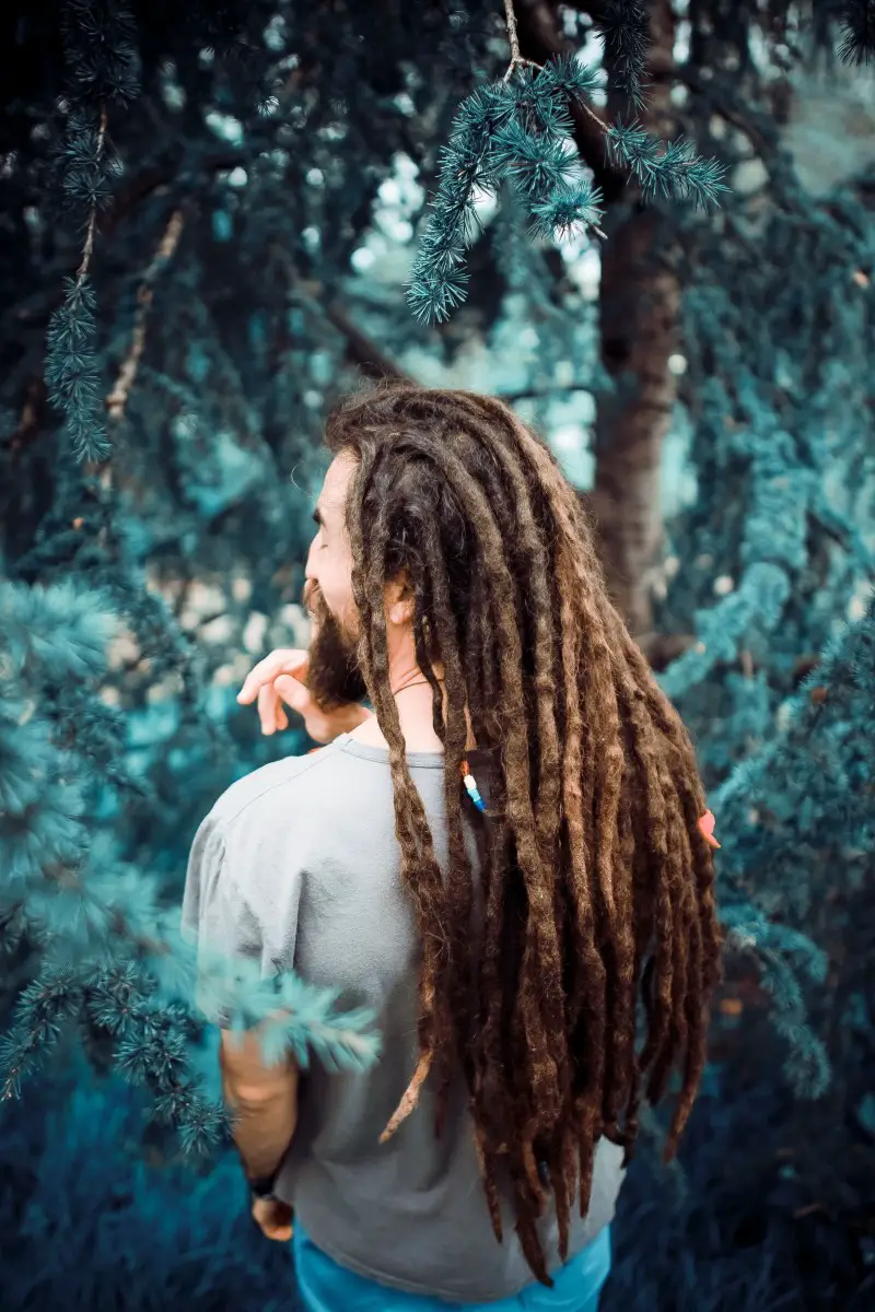 How to Make your Dreadlocks Lock Faster