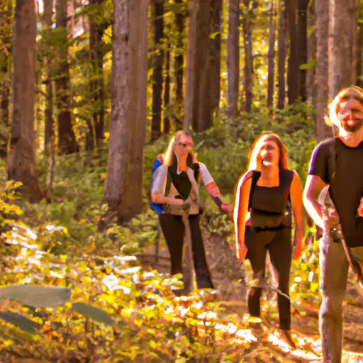 E of two couples hiking through a picturesque forest trail, with sunlight filtering through the tall trees, casting a warm golden glow on their smiling faces, as they carry backpacks and enjoy the thrill of outdoor exploration