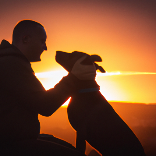 An image that showcases the bond between a dog and its owner, capturing the essence of inspiration