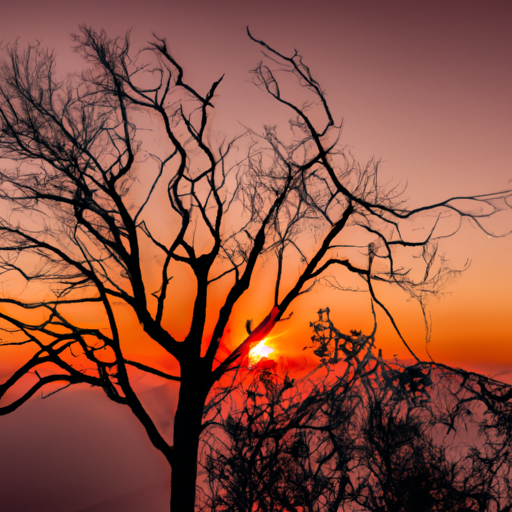 a serene sunset casting a warm glow over a solitary tree, its branches drooping under the weight of two fallen leaves